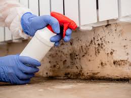 Why You Should Choose Our Mold Remediation Services in Souderton, PA